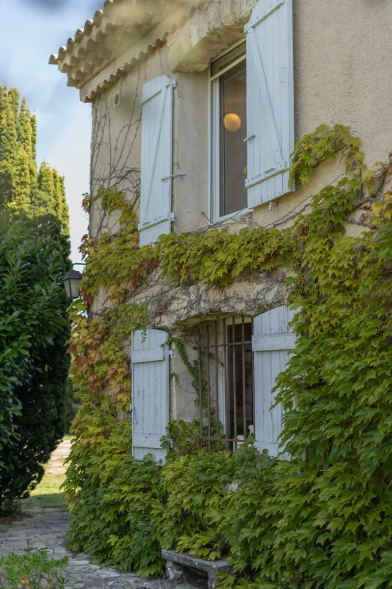 Façade en pierre aux volets bleus couverte de vigne vierge, maison Orpi Belle Pierre à Beaucaire