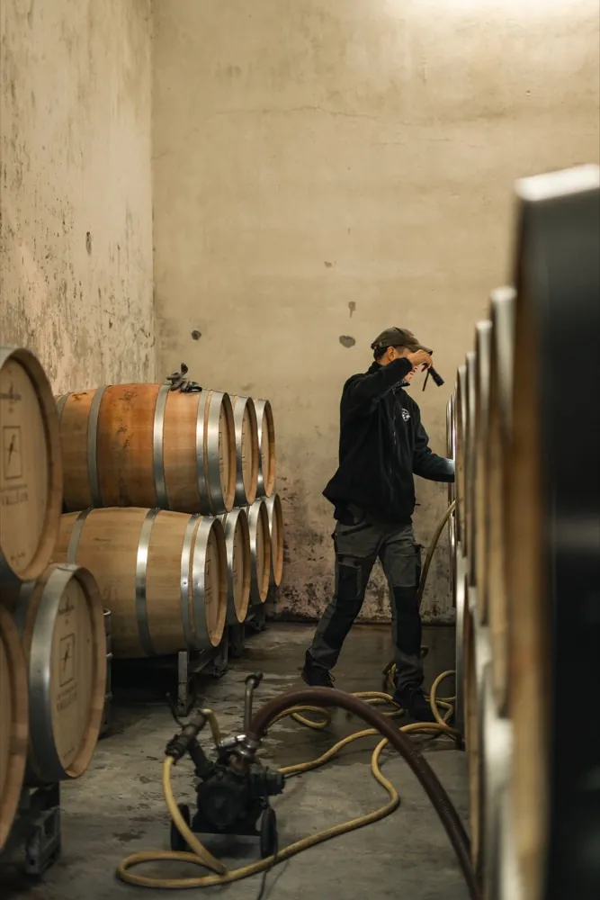 Ouvrier parmi les fûts de chêne, Cave Coopérative Valléon