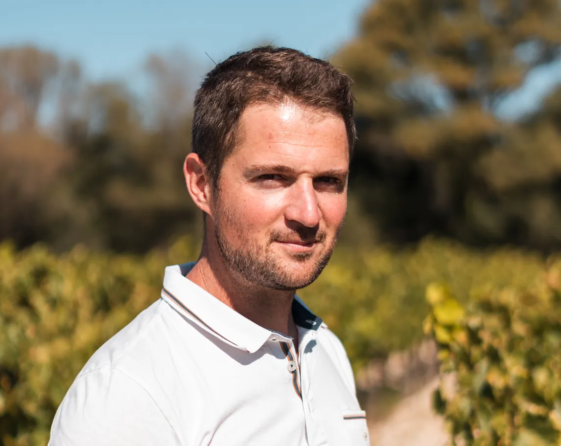 Portrait d'un vigneron en polo blanc dans ses vignes, en lumière naturelle