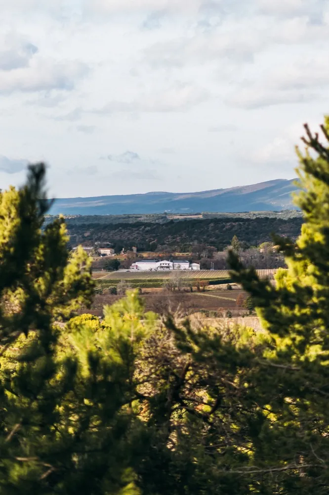Vue du domaine dans son paysage, Cave Coopérative Valléon